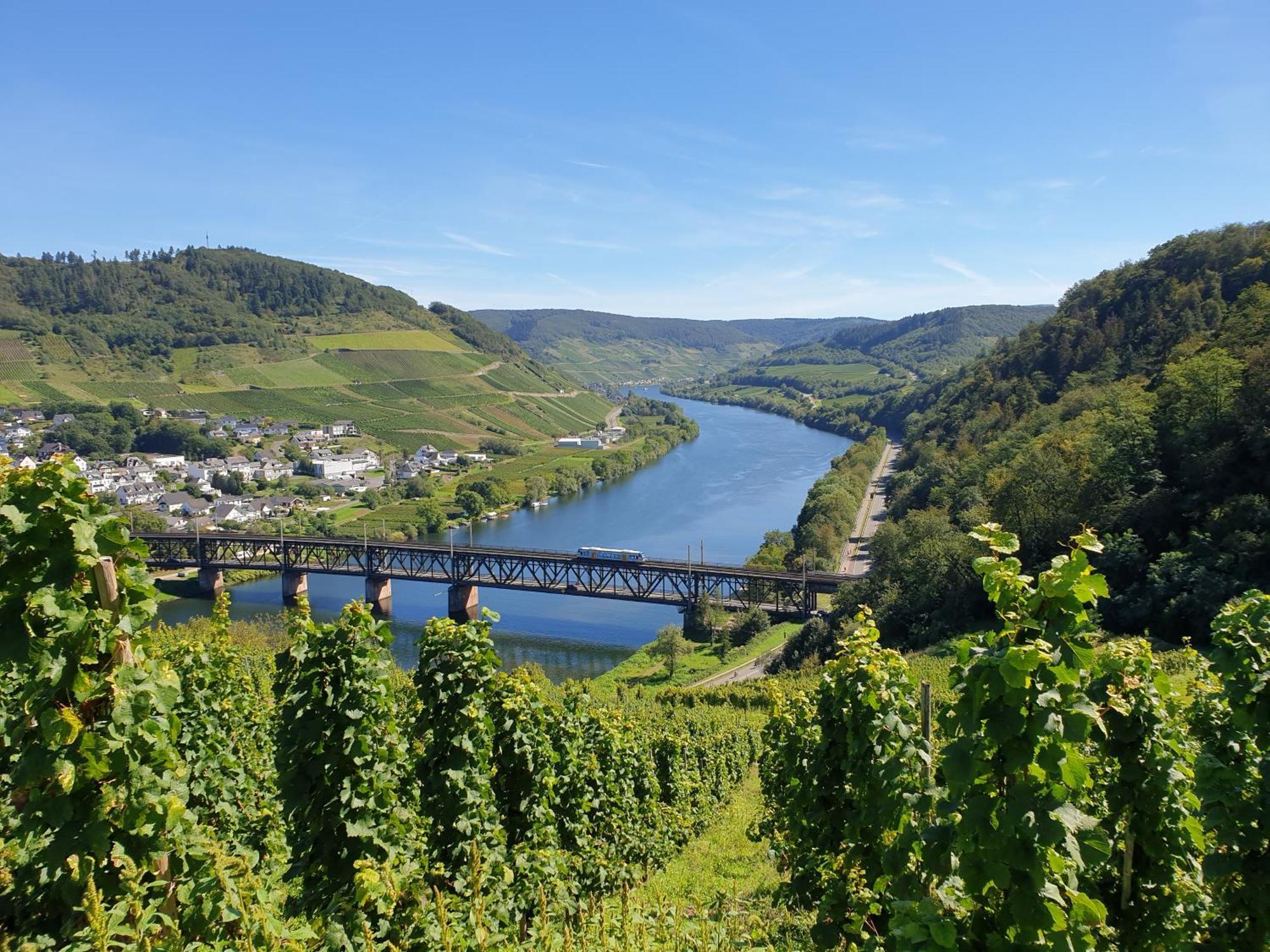 Ferienwohnungen Bullay Buitenkant foto